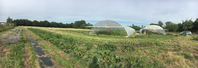 L'Haras'Tatouille, Ferme Bio à Genneville