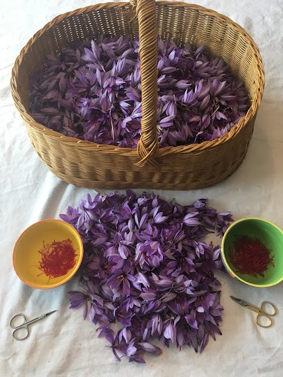 Safr'arômes, Ferme Bio à Brens