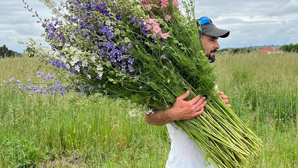 Semeur cueilleur, Ferme Bio à Marmande