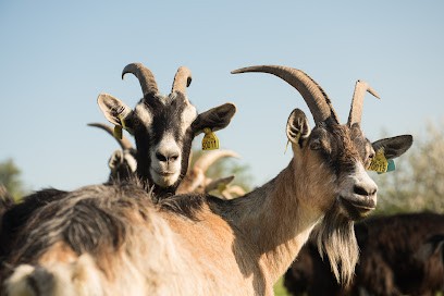 GAEC La Dourmelle, Ferme Bio à Issepts