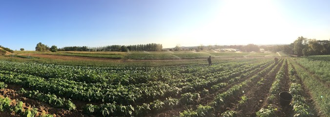 La ferme de la Vallerine, Ferme Bio à La Chapelle-Villars