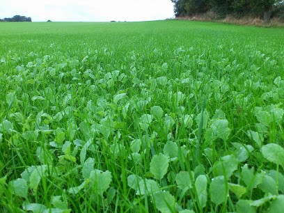 La Ferme de Tom, Ferme Bio à Lassay-les-Châteaux
