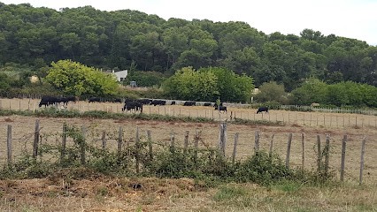 Agri Congénies, Ferme Bio à Congénies