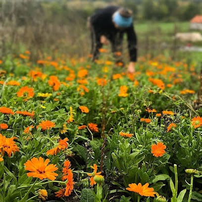 Le jardin secret de Muriel, Ferme Bio à Rocamadour