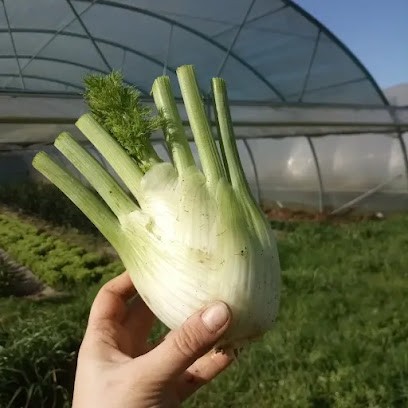 La Fermette du Bois Olive, Ferme Bio à Bouaye