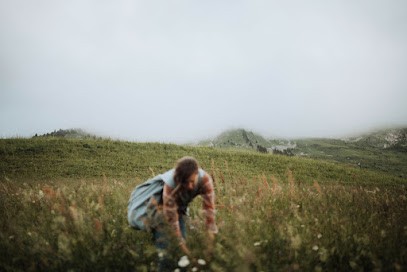 Cimes et racines, Ferme Bio à Alex