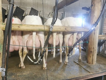Bergerie de la corbinière, Ferme Bio à Saint-Ouen-les-Vignes