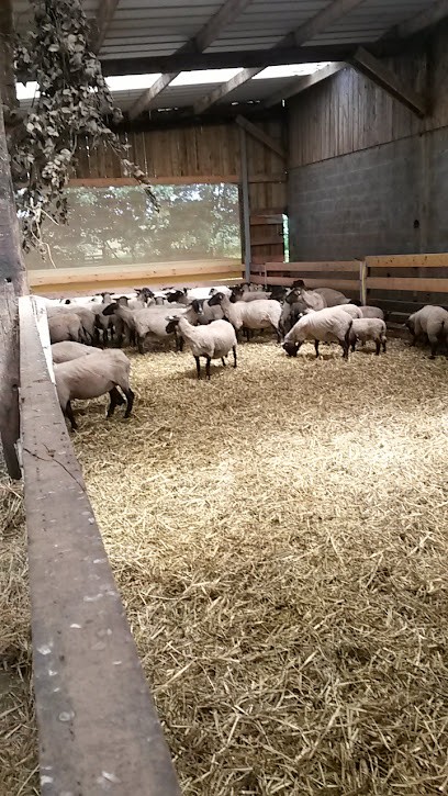 Ferme de la Mare Caveliere, Ferme Bio à Saint-Aubin-Routot