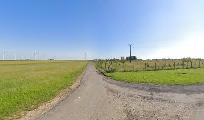 L'Œuf de Célestine, Ferme Bio à Guillonville