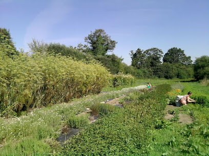 Terres de Tisanes, Ferme Bio à Cléguer