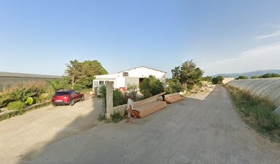 LE JARDIN BIO DE LAURIE - FOURRIQUES Christian, Ferme Bio à Elne