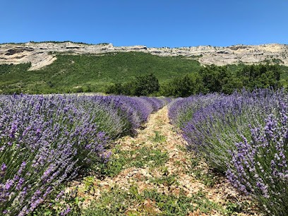 Jubi Arzeliers, Ferme Bio à Laragne-Montéglin