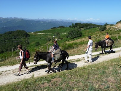 La Ferme aux Anes, Ferme Bio à Unac