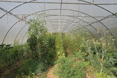 Le Colibri, Ferme Bio à Vic-Fezensac