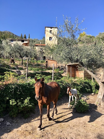 Domaine de la Tour, Ferme Bio à L'Escarène