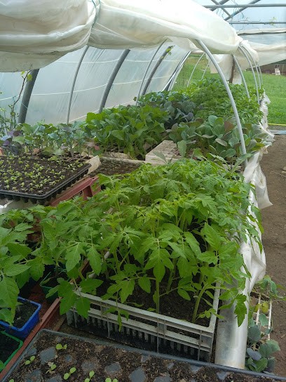 Les jardins de l'Aigue Vive, Ferme Bio à Ségus