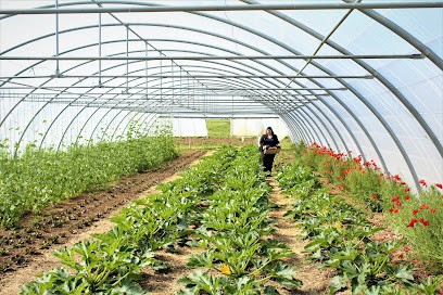 La Petite Ferme Auffervilloise - Bureau, Ferme Bio à Aufferville