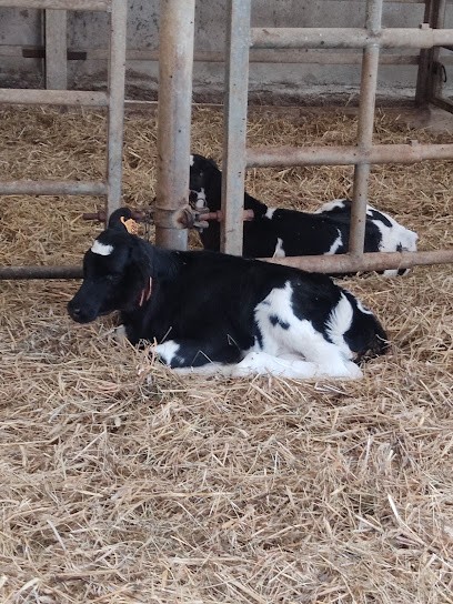 La Ferme de Kerbizien, Ferme Bio à Noyal-Muzillac