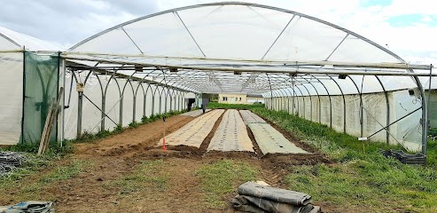 Esatco Paimpol, Ferme Bio à Plourivo