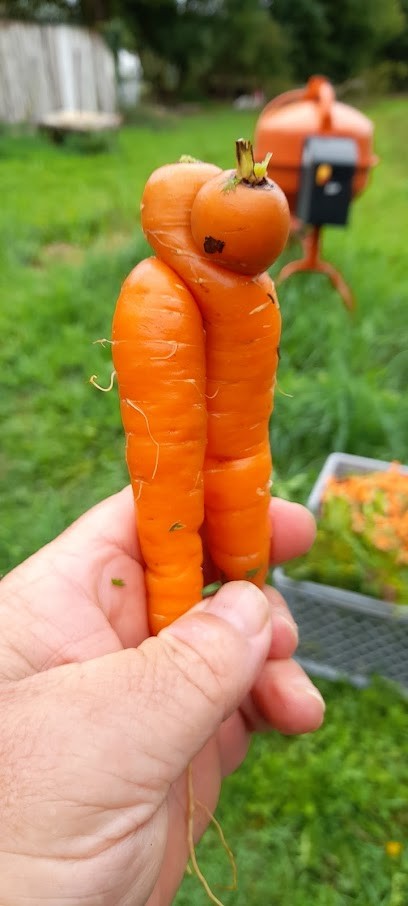 Ferme De Thierry, Ferme Bio à Pérassay