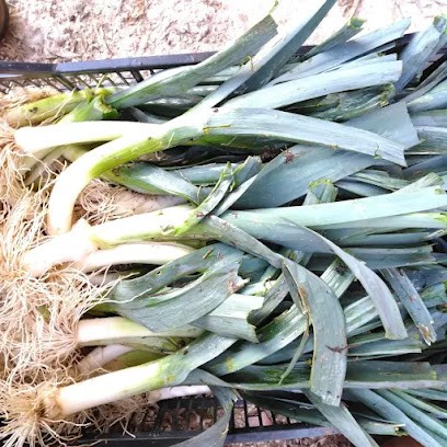 Ferme Biologique De Ravel, Ferme Bio à Marseille 11
