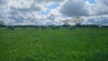 Ferme du PIOPOT, Ferme Bio à Féron
