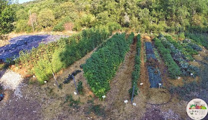 Le Champ du Fort, Ferme Bio à Banne