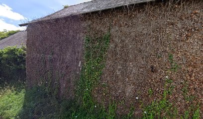 Terre de Couleurs Ferme Florale, Ferme Bio à Louverné