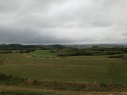 Ferme De Briola, Ferme Bio à Saint-Julien-de-Briola