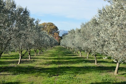 VAR’T OLIVE - DOMAINE SOLIGNAC, Ferme Bio à Hyères