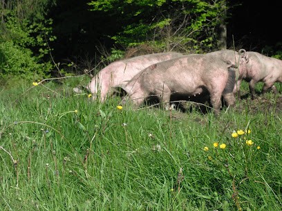 FERME BIO MAURICE, Ferme Bio à Granges-Aumontzey