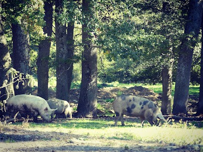 La ferme du vignoble, Ferme Bio à Foix