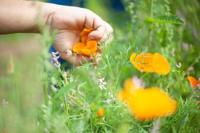 La ferme d'Angèle - Mathilde Tuffreau - Infusions, Ferme Bio à Carquefou