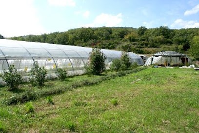 LA FERME BIOLING, Ferme Bio à Villemagne-l'Argentière