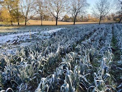 Jardin Pois Plume, Ferme Bio à Domarin