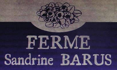 Blueberries Bournos SCEA, Ferme Bio à Bournos