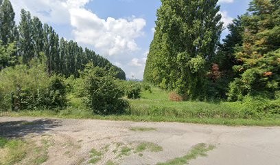 Mémoires Paysannes, Ferme Bio à Mollégès