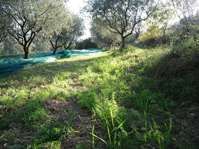 Domaine Oléicole Bilogique Et Moulin De Pontet Fronzèle, Ferme Bio à Lagorce