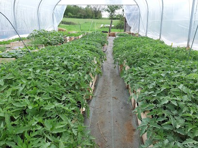 GAEC Le Champ des Gourmands, Ferme Bio à Roulans