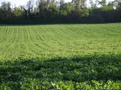 SCEA FORGERIT, Ferme Bio à Courcôme