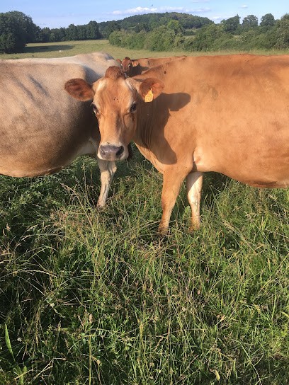 La Ferme De Vignolles, Ferme Bio à Neuvillalais