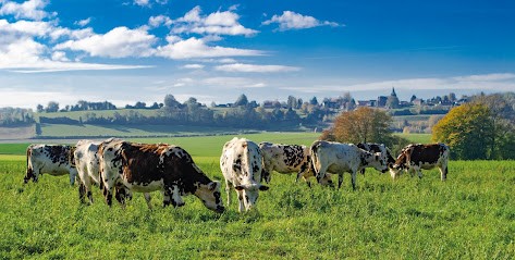 Domaine de Merval, Ferme Bio à Brémontier-Merval