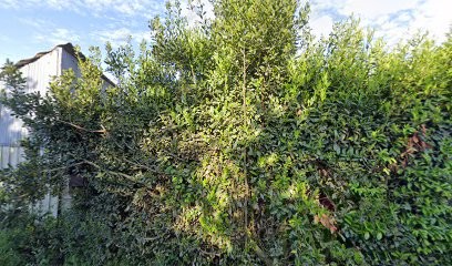 La bergerie d'Askell, Ferme Bio à Locoal-Mendon