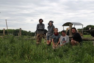 Ferme des Folaisons, Ferme Bio à Pluherlin
