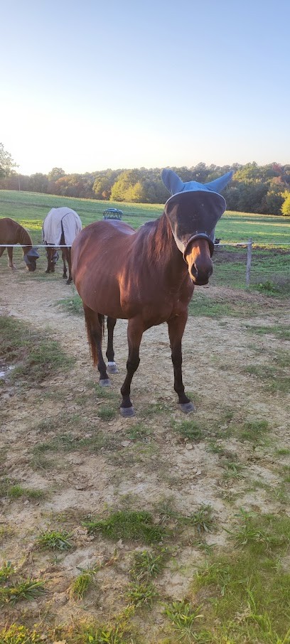 Stud De Bazille, Ferme Bio à Estang