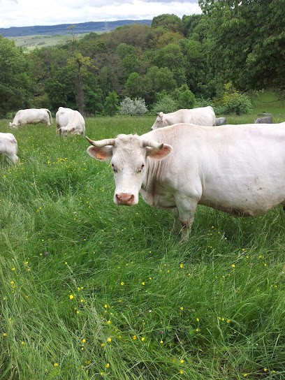 Ferme Laugel Stephane Vente sur commande, Ferme Bio à Westhoffen