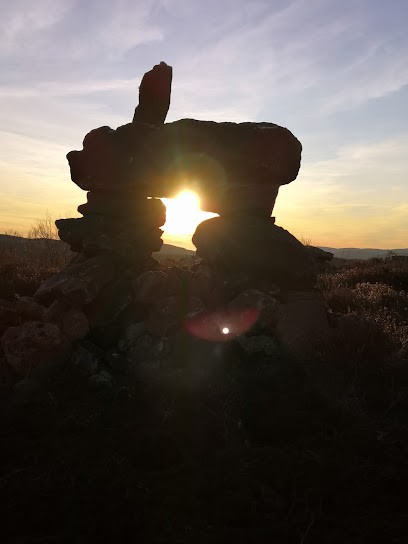 Le Peyregas, Ferme Bio à Murat-sur-Vèbre