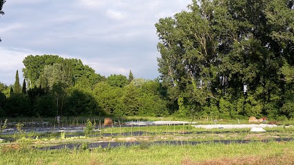 Le champ d'à côté, Ferme Bio à Pernes-les-Fontaines