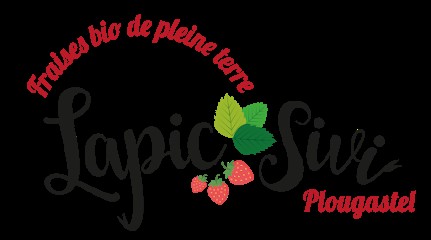 Fraises Biologiques de Plougastel - Lapic Sivi, Ferme Bio à Plougastel-Daoulas