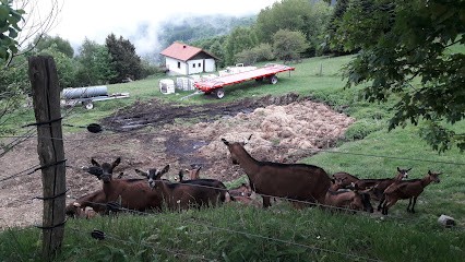 Ferme Steinmauer, Ferme Bio à Linthal